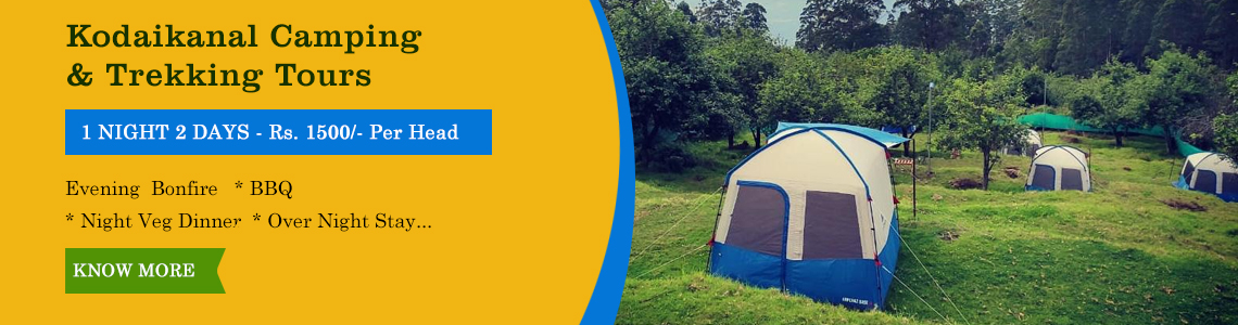 kodaikanal-camping-tours