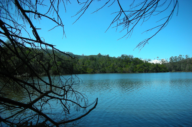 kodaikanal-foresttour