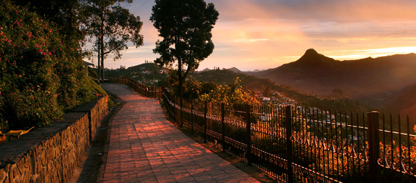 kodaikanal-fullday-tours