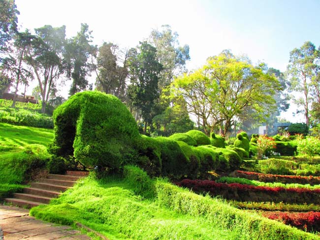 kodaikanal-local-tours