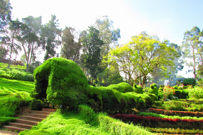 kodaikanal-park-tour