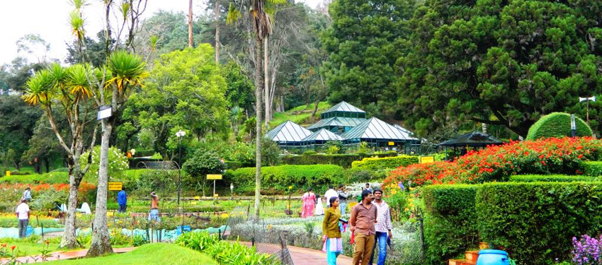 kodaikanal-park-tour