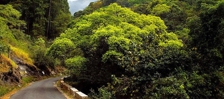 kodaikanal